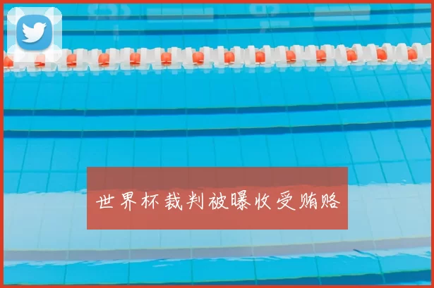 世界杯裁判被曝收受贿赂