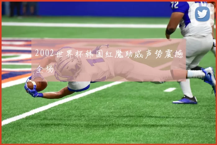 2002世界杯韩国红魔助威声势震撼全场