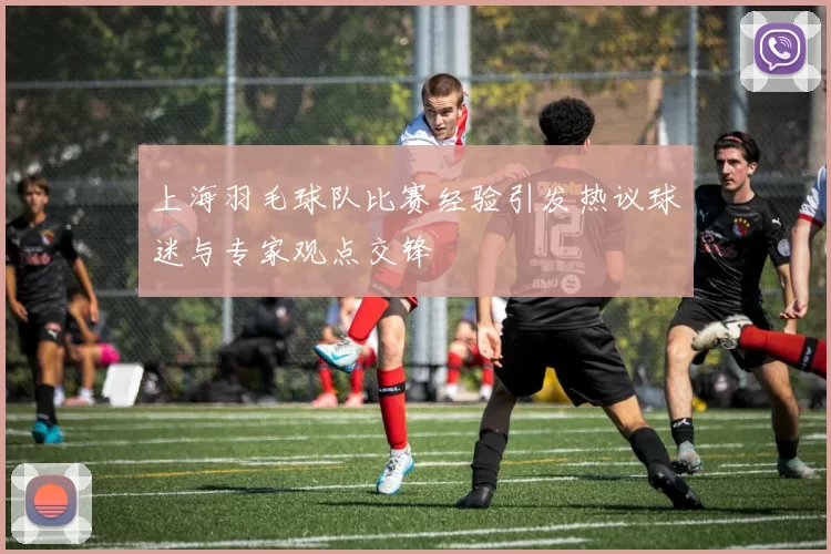 上海羽毛球队比赛经验引发热议球迷与专家观点交锋