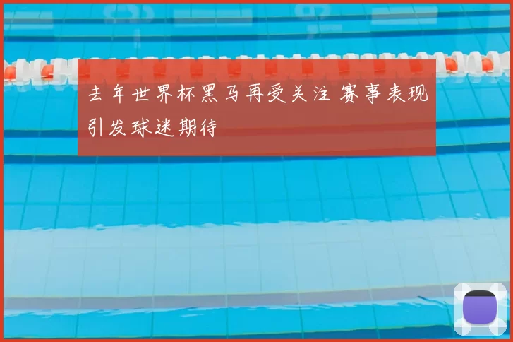 去年世界杯黑马再受关注 赛事表现引发球迷期待