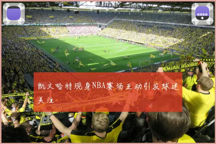凯文哈特现身NBA赛场互动引发球迷关注
