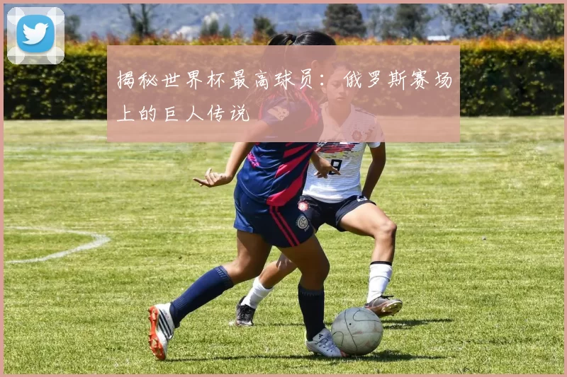揭秘世界杯最高球员:俄罗斯赛场上的巨人传说