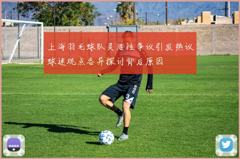 上海羽毛球队灵活性争议引发热议球迷观点各异探讨背后原因