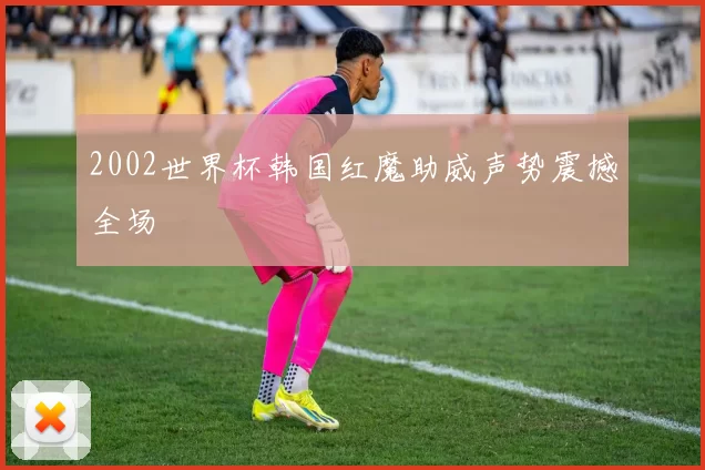 2002世界杯韩国红魔助威声势震撼全场