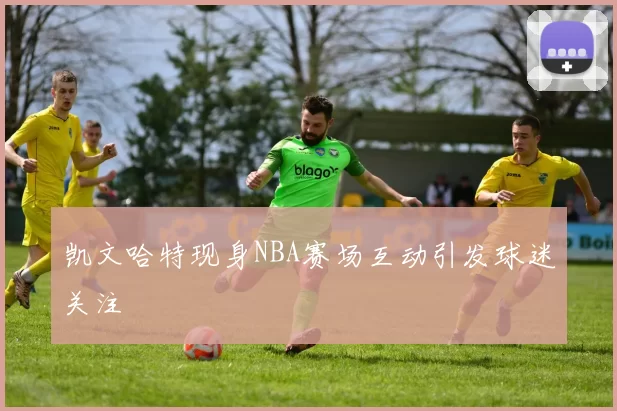 凯文哈特现身NBA赛场互动引发球迷关注