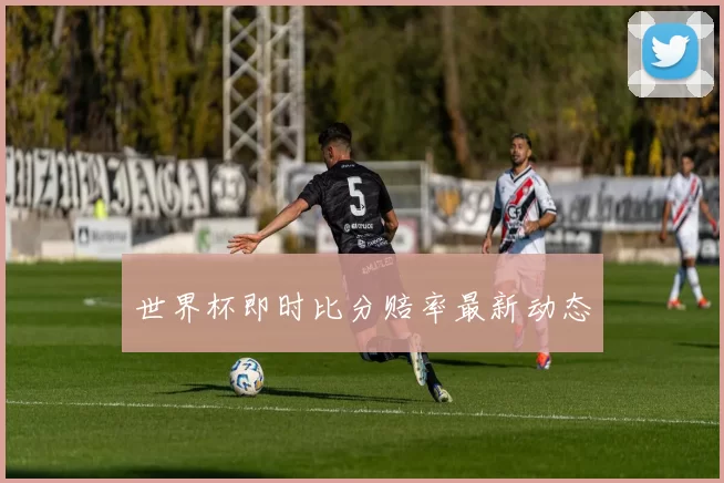 世界杯即时比分赔率最新动态