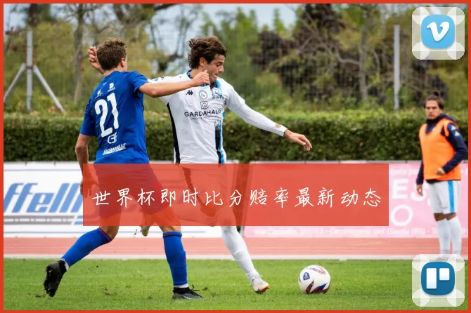 世界杯即时比分赔率最新动态