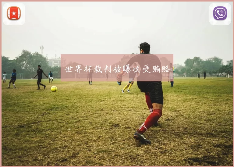 世界杯裁判被曝收受贿赂