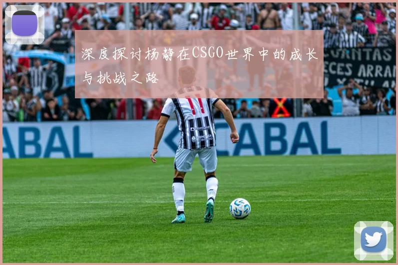 深度探讨杨静在CSGO世界中的成长与挑战之路